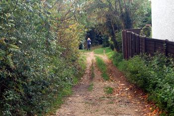 Bossington Lane October 2008